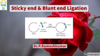 Sticky end amp blunt end ligation [upl. by Wolf]