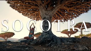 Socotra quotThe Alien Islandquot Cinematic Travel Film [upl. by Ahsla]