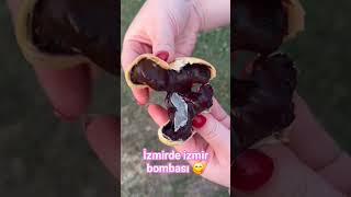 izmirde izmir bombası denedik bayıldık👌🏻bayram izmir nefisyemektarifleri yummy yutubeshorts [upl. by Hassett206]