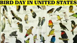 The History of Bird Day in the US and what it means for you [upl. by Sivlek215]