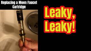 Moen Faucet Repair [upl. by Gayn193]