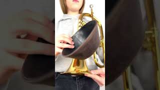 Flugelhorn Plunger Mute [upl. by Fried]