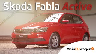 Skoda Fabia Active  Was bietet der Kleine in der 3 Generation [upl. by Ecargyram]