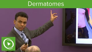 Dermatomes Overview – MRCS  Lecturio [upl. by Euqnom]