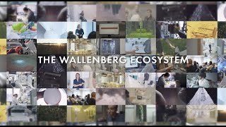 Wallenberg Ecosystem [upl. by Vanda920]