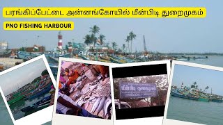 பரங்கிப்பேட்டை மீன்பிடி துறைமுகம்  Fishing Harbour I Portonovo I Tamil parangipettai [upl. by Ahswat]