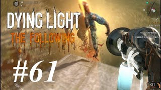 61 DYING LIGHT THE FOLLOWING悪夢攻略 「超レア隠し武器：Uranophoobic Fabaceous Ornithomancer」入手。 [upl. by Sadowski]