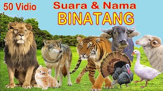 50 Binatang Dengan Suaranya [upl. by Nyletac]