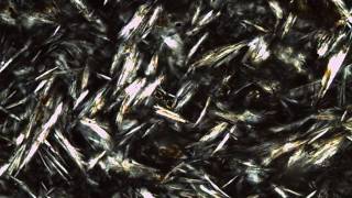 Trachyte Obsidian Thin Section [upl. by Esereht]