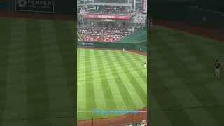 Padres HR at Nats Park mannymachado baseballplayersandiegopadres washingtonnationals mlb [upl. by Ettenyar62]