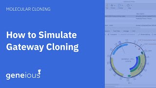 How to Simulate Gateway Cloning with Geneious Prime [upl. by Tlaw641]