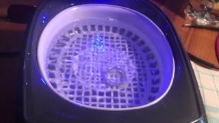 How to clean Jewellery with an Ultrasonic cleaner ring and necklace cleaning DIY [upl. by Egedan]