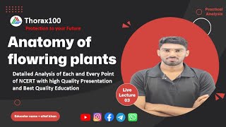 Anatomy of flowering plants Lecture 03 for Class 11 amp NEET Thorax100 [upl. by Aikram990]