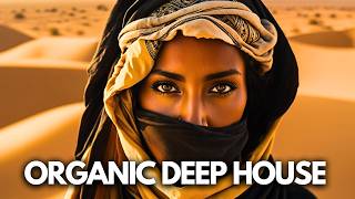 Cafe De Anatolia  Organic Deep House Mix by Rialians [upl. by Asiul113]