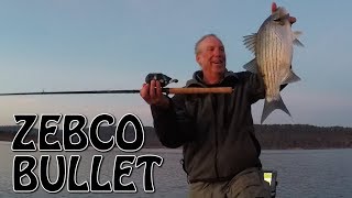 Hybrid bass caught on a ZEBCO Bullet that slams a topwater lure [upl. by Papp]