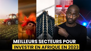 Les meilleurs secteurs pour investir pour la diaspora en Afrique [upl. by Pena21]