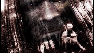 Sasquatch People Bigfoot Yeti  Alien Connection  Truth Revealed [upl. by Chev]