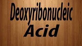 How to Pronounce Deoxyribonucleic Acid  Deoxyribonucleic Acid Pronunciation [upl. by Hafital]