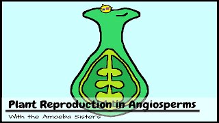 Plant Reproduction in Angiosperms [upl. by Adnohsirk]