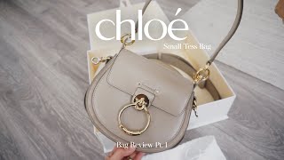 Chloé Tess Small thoughts  pros  bag review [upl. by Ennagem391]