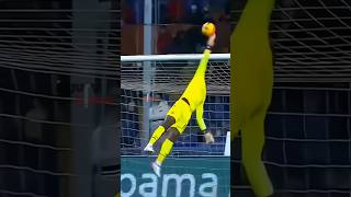 IMPOSSIBLE SAVES 👏🧤 [upl. by Adnuhsal]