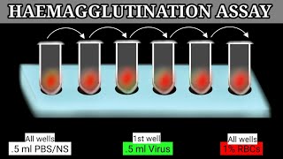 Haemagglutination Assay  HA Assay  HA Test [upl. by Damas441]