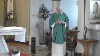 The Immaculate Conception Catholic Church  Live stream [upl. by Ahcilef]