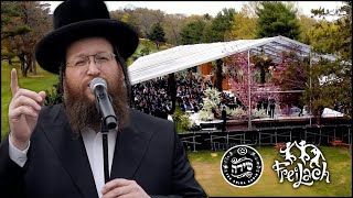 The Freilach Band Chuppah Series ft Shloime Daskal amp Shira Choir  Ani Ldodi  Katonti  Ki Karov [upl. by Luca]