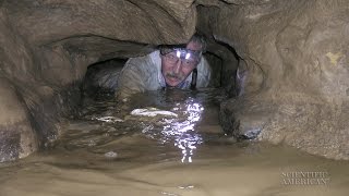 Stalagmites Point to Caves Shaky History [upl. by Eyma630]