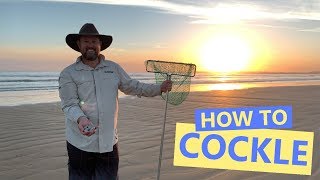 Goolwa Beach  How to Cockle [upl. by Lonnie616]