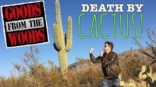 quotDavid Grundman Death by Cactusquot The Goods from the Woods Podcast Episode 184 [upl. by Doraj]