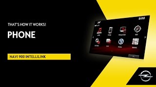 Navi 900 IntelliLink  Phone  Thats How It Works [upl. by Ysnat]