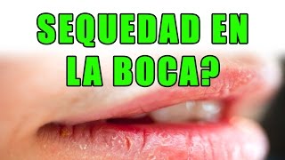 Como Quitar La Sequedad De La Boca y Mejorar El Gusto [upl. by Elleinaj]