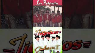 Cumbias Norteñas Mix 🔥 Grupo Frontera De Parranda Los Dorados Secretto 🔥 Cumbias Para Bailar [upl. by Ennaylloh]