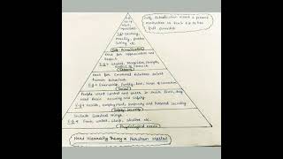 Need Hiearachy Theory  Abraham Maslow theory of Motivation  Nta Net CommerceManagement [upl. by Aryk]