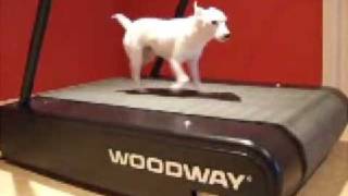 Luke on the Woodway Treadmill [upl. by Oconnor]