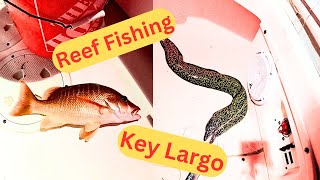 Reef Adventures in Key Largo August Fishing for Sharks Eels Snapper and More [upl. by Arimahs282]