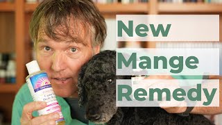 How to Treat Mange in Dogs at Home [upl. by Garlan860]