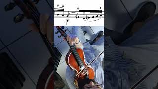 Sarabanda from Partita No 2 by Bach violin violinist bach [upl. by Mccowyn]