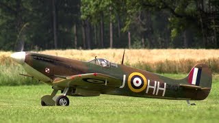 Rc Spitfire quotClipped Wingsquot cool sound [upl. by Berhley]