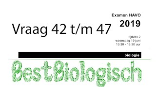 Biologie examen havo 2019 tweede tijdvak vraag 42 tm 47 [upl. by Schoenberg]