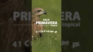 DEMO PACK PRIMAVERA TROPICAL 2024 [upl. by Sianna]