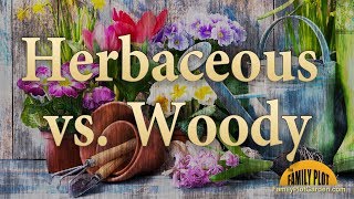 Herbaceous Versus Woody  Garden Glossary [upl. by Sassan]