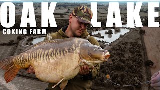 Coking Farm  BIG FISH  Hunt for a UK 40 [upl. by Netsuj189]