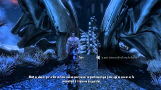 Skyrim PC HD FR Skuldafn Sovngarde et combat final contre Alduin [upl. by Naujuj]