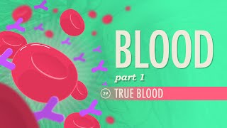 Blood Part 1  True Blood Crash Course Anatomy amp Physiology 29 [upl. by Esli575]