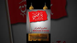 Bolay Sara Jahan Hussain Ya Hussain  muharram status 2021 [upl. by Bock]