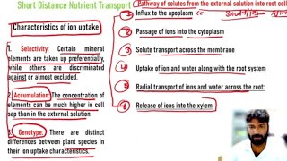 Mineral nutrient transport in Plants  Short Distance Pathway [upl. by Hcra410]