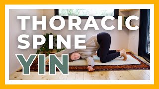 30min Yin Yoga for Thoracic Spine Shoulders amp Upper Back  Long Holds amp Deep Stretches [upl. by Ikik998]