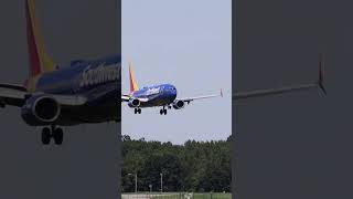 UNLOADING THE VAULTSouthwest 737 LandingALB Albany International Airport Albany New York [upl. by Nairrad]